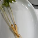 대왕산삼백숙농원 | [대전 맛집/대청댐 맛집] 대왕산삼백숙농원