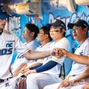 라이언스 하트 이미지