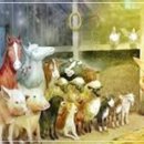 양심적인 대법관의 사직을 기대하며... 이미지