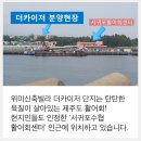 제주부동산 바다view~ 서귀포신축빌라 33평 2억대 이미지