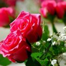 상남동295 이미지