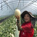 승진농장 이미지