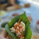 회맛나는세상 이미지