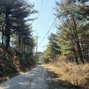 해파랑길 50코스 이미지