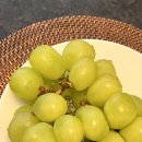 표선달채 이미지