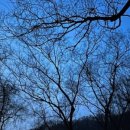 양동농협주유소 이미지