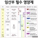 임계한의원 | 임신 중 영양제 종류 및 복용 시기 내돈내산 제품 추천