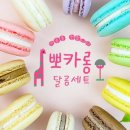 달곰마카롱 - 북구 양달로 78 | 달곰마카롱