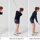 드로핀 문화일보