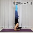 니로다요가 - 화성시 동탄중심상가1길 36 | 니로다요가