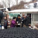금산수삼센터상인회 아산투데이