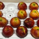 심복농장 이미지