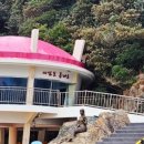 막썰어회센터 이미지
