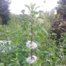 산척면사무소 이미지