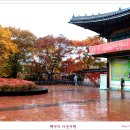 우산길 이미지
