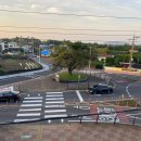 팽나무 펜션 이미지