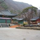 사나사 - 1160 | 사나사