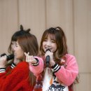 판교고등학교 이미지