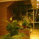 조경치과의원 이미지