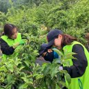 농협중앙회 이미지