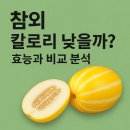 참외 칼로리 낮을까? 효능과 비교 분석 이미지