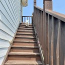 안면애견펜션프리독 이미지