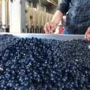 본인농장 이미지