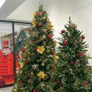 신탄진역 버스정류장 | 대전 인천공항 서울 강남 고속버스 노선 시간표