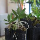 열미리보건진료소 이미지