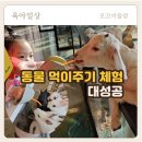 애니멀클럽 | 평택 아이와 가볼만한곳 :) 실내동물원 키즈카페 애니멀클럽 후기 🐾