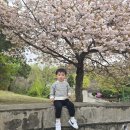 성산패총로-2 네이버블로그