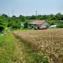 범용농장 이미지