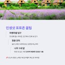 보랏빛 무료 힐링 여행, 거창 허브빌리지!