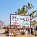 굼앤머쉬 네이버블로그