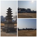 개나리약국 이미지