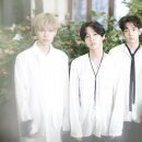 더로즈컴퍼니 이미지