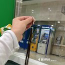 채은153