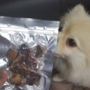 하얀여우 수제간식 이미지