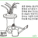 한국춘란 동절기 동해 예방관리/02(96) 이미지