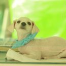 마로동물병원 이미지