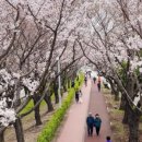 다대동의한의원 이미지