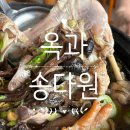 송다원 이미지