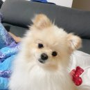 김연봉 | 연봉이 이발 후기