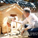 곰가족의원 이미지