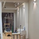 코코필라테스-오송점 | 오송 필라테스 코코필라테스 24시 헬스 추가등록 후기