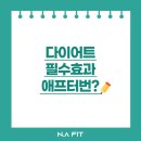 엔에이핏 이미지