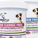 주식회사 데이원 이미지