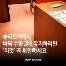 베어페인트전주점 | 솔리드에폭시 시공, 바닥 수명 2배 유지하려면 '이것' 꼭 확인하세요