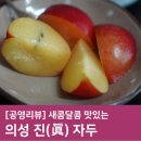 새콤달콤, 당도 높은 의성자두 넘 맛나요!