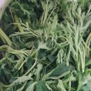 이곡1리 마을회관 이미지